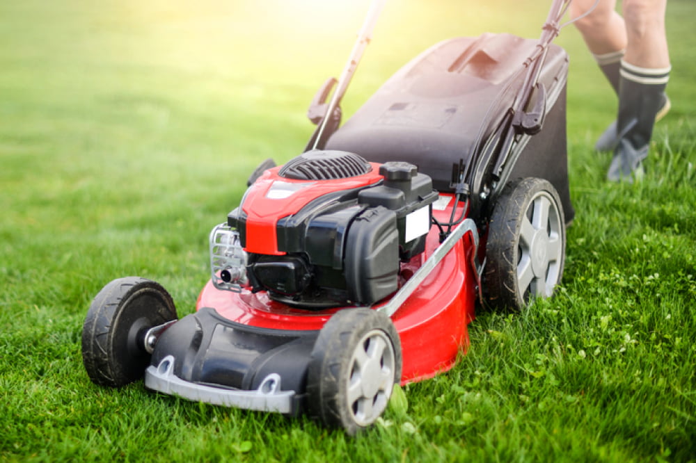 Top 6 lawn mowers to buy